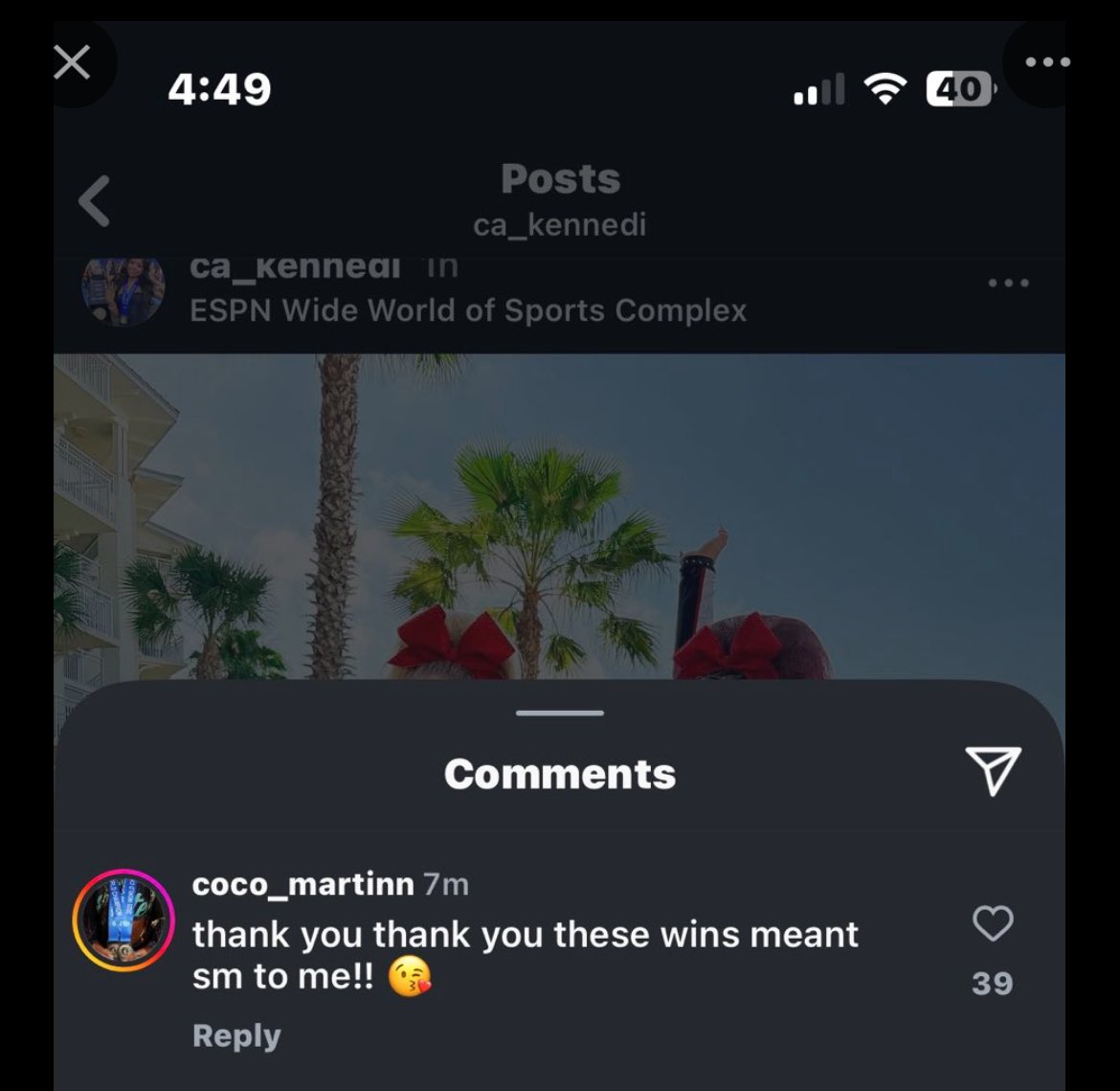 _forever_teal's tweet image. the people's QUEENS eating up the 4th place kitty cats !