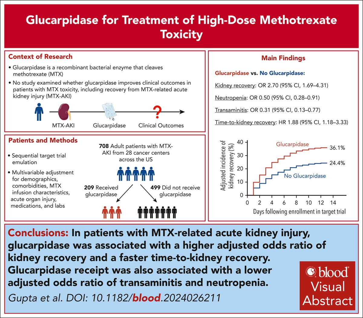 Blood Journal (@bloodjournal) on Twitter photo In patients with MTX-AKI, glucarpidase was associated with a higher adjusted odds of kidney recovery and faster time to kidney recovery. ow.ly/GaEn50VHuKC #clinicaltrialsandobservations @ShrutiGKidney @SarahKaunfer <a href="/DavidLeaf9/">David Leaf</a> In patients with MTX-AKI, glucarpidase was associated with a higher adjusted odds of kidney recovery and faster time to kidney recovery. ow.ly/GaEn50VHuKC #clinicaltrialsandobservations @ShrutiGKidney @SarahKaunfer <a href="/DavidLeaf9/">David Leaf</a>