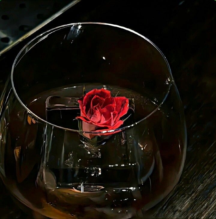 Black. (@blackdreamvibes) on Twitter photo 