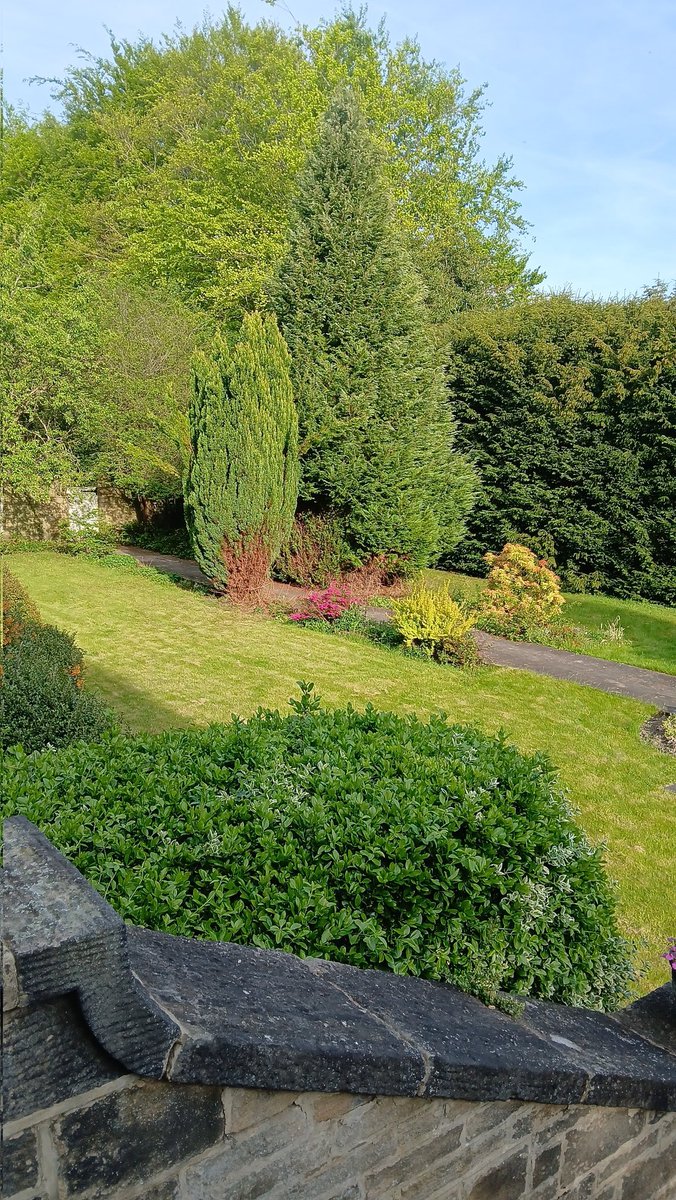 Hoyle Court tweet media