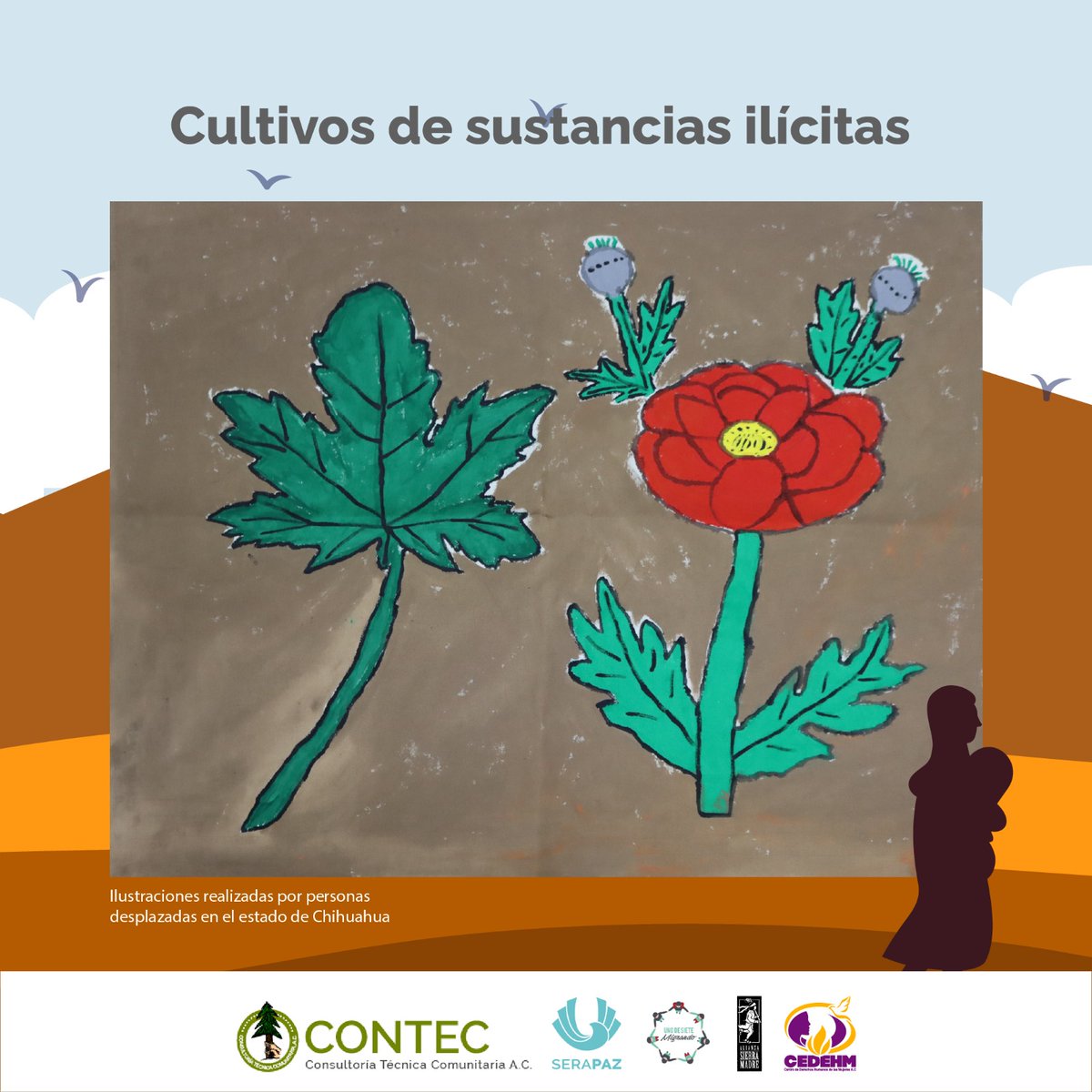 CONTEC A.C. tweet media