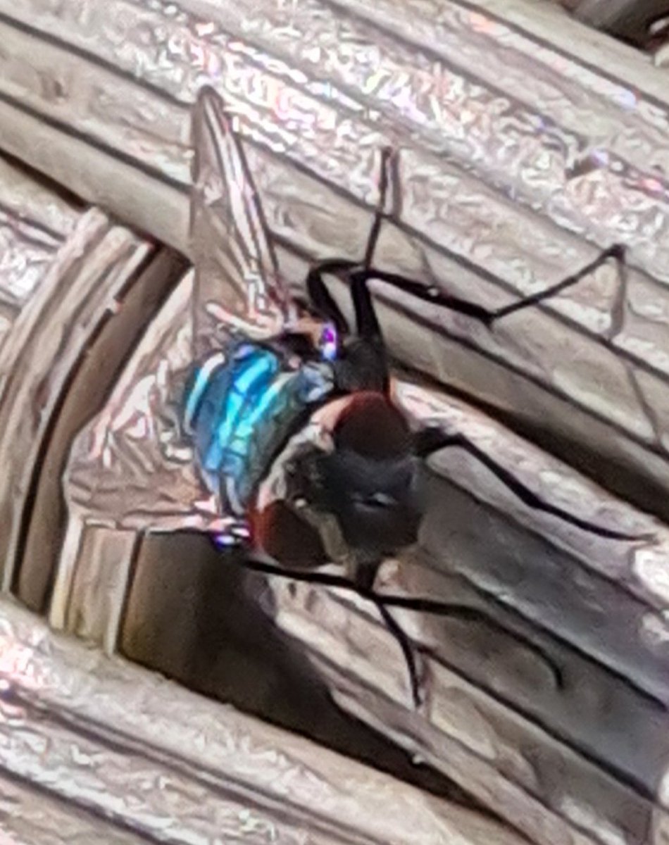 Goo (@klubber_lang) on Twitter photo 