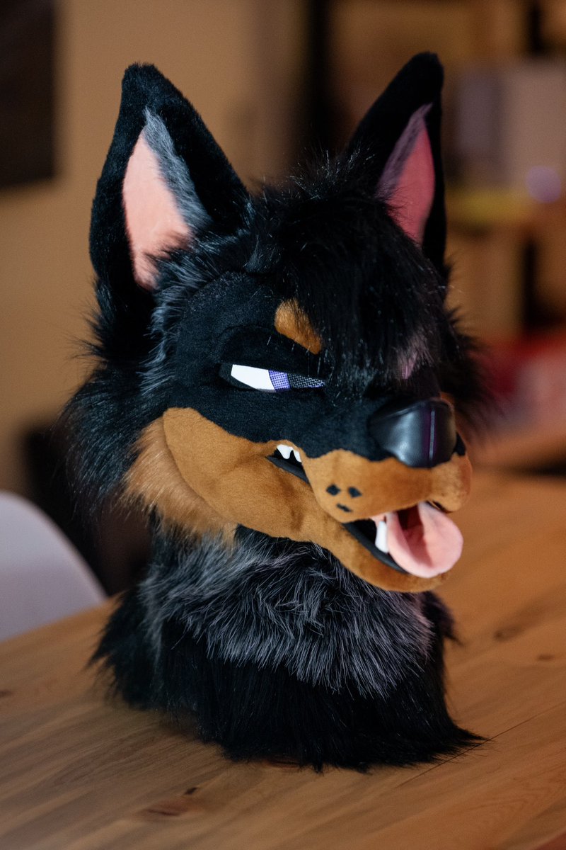 FoxtrotFursuits's tweet image. More shots of Markus. Newest member of the Foxtrot family.
🐶: @douchebagdogs
📸: @StellarAntares