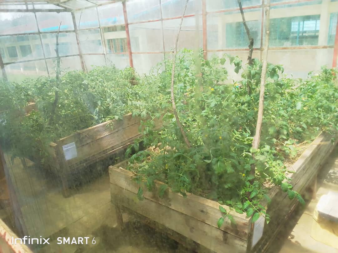 Today, <a href="/AfrinetGroup/">Afrinet Solutions Group Ltd</a>  team, led by our CEO, <a href="/NTDieudonne/">Dieudonne</a> , met with the University of Rwanda team in Musanze District, led by the UR/CAVM Principal, Dr. Nyagatare Guillaume, to discuss the progress of the tomato processing plant. #Partnership #AgriProcessing #Rwanda