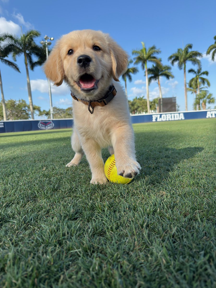 Tucker just posing in Paradise with all his <a href="/RawlingsSB/">Rawlings Softball</a> gear