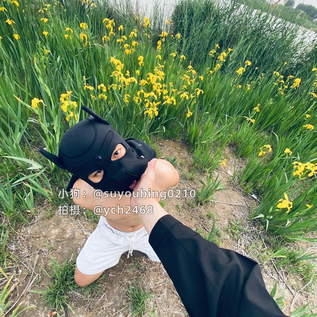 杨晨皓 tweet media