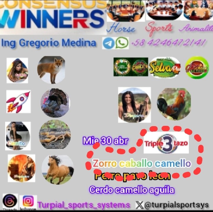 Botaste la bola botaste la bola botaste la bola Consensus winners siiiii ya estaaaaa tripletazo para selva ya listo mi plática en mi cuenta gracias a la agencia que sella tripletas