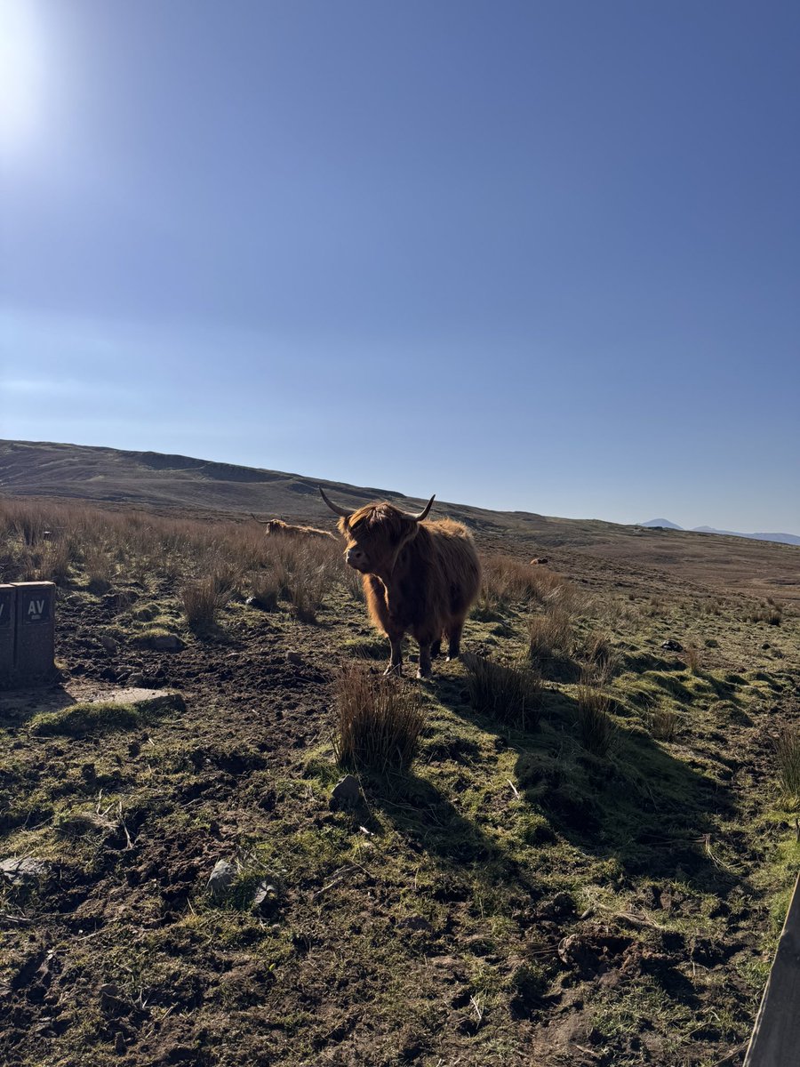 Tava 🇮🇳 (@zuberavass) on Twitter photo 