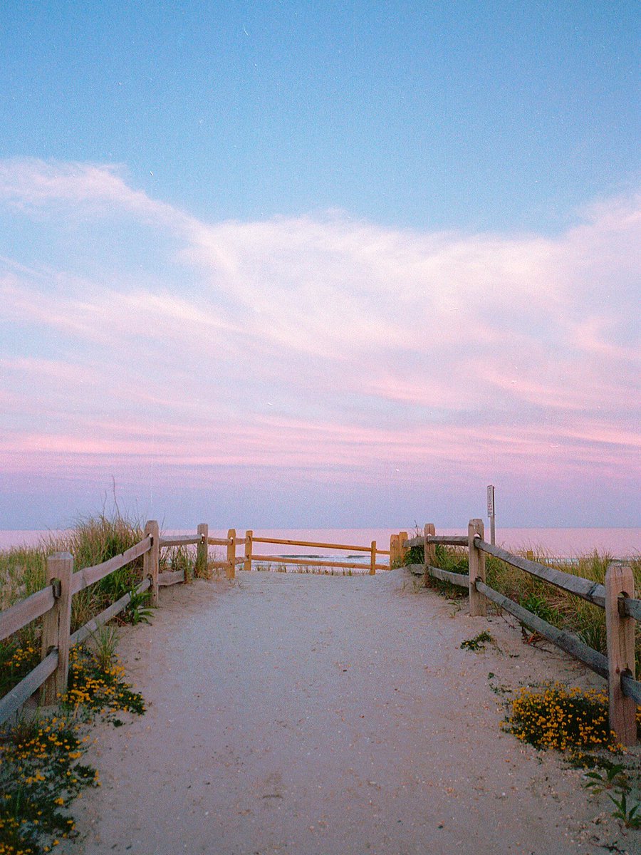nev_in_color's tweet image. photos that feel more like paintings 🎞️ 🎨