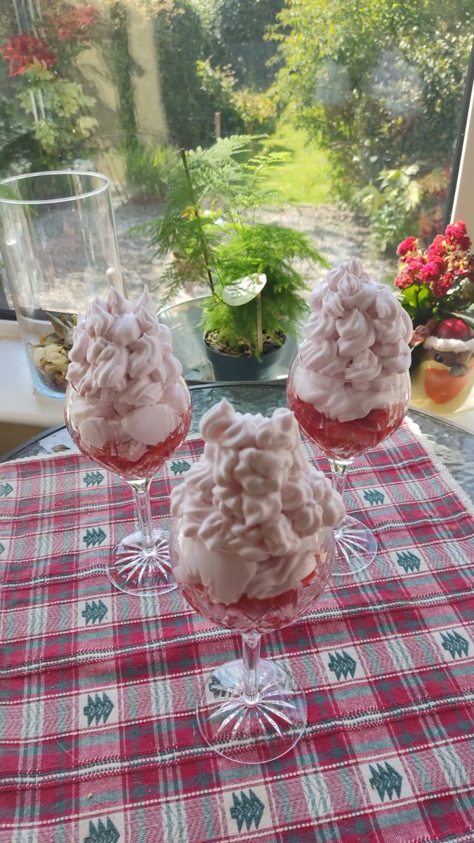 thehomeshare_ie's tweet photo. One of our sharers made these today for our monthly visit 😀 Perfect treat on a sunny day! She lives with a gentleman who's wife passed away 2 years ago. She is bringing life and laughter back into his home. Intergenerational living works so beautifully 😍 #thinkhomeshare #GIW25