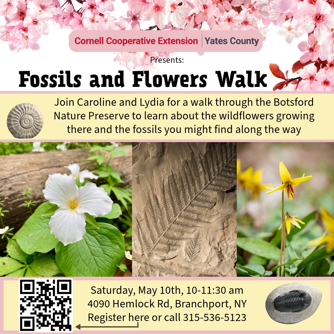 🌼🦴 Discover nature’s secrets on a Fossils &amp; Flowers Walk at Botsford Nature Preserve!
🗓️ Sat, May 10 | ⏰ 10–11:30 AM
💵 FREE event!
🔗 Register: bit.ly/4lRyNO7
📞 Or call 315-536-5123