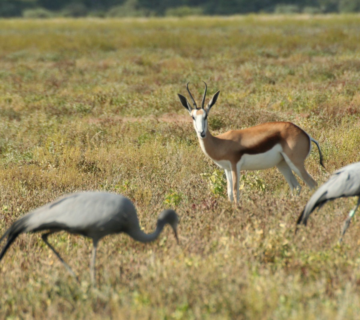 Friendly reminder -- Deadline May 5 for WCSJ Session Proposals - mailchi.mp/wfsj/reminder-…

Photo: Engela Duvenage