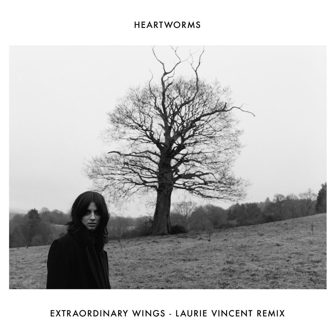 Speedy Wunderground (@speedywunder) on Twitter photo Laurie Vincent's remix of <a href="/iamheartworms/">Heartworms</a> 'Extraordinary Wings' is out NOW and available to hear at the link in our bio 🗣️ Laurie Vincent's remix of <a href="/iamheartworms/">Heartworms</a> 'Extraordinary Wings' is out NOW and available to hear at the link in our bio 🗣️