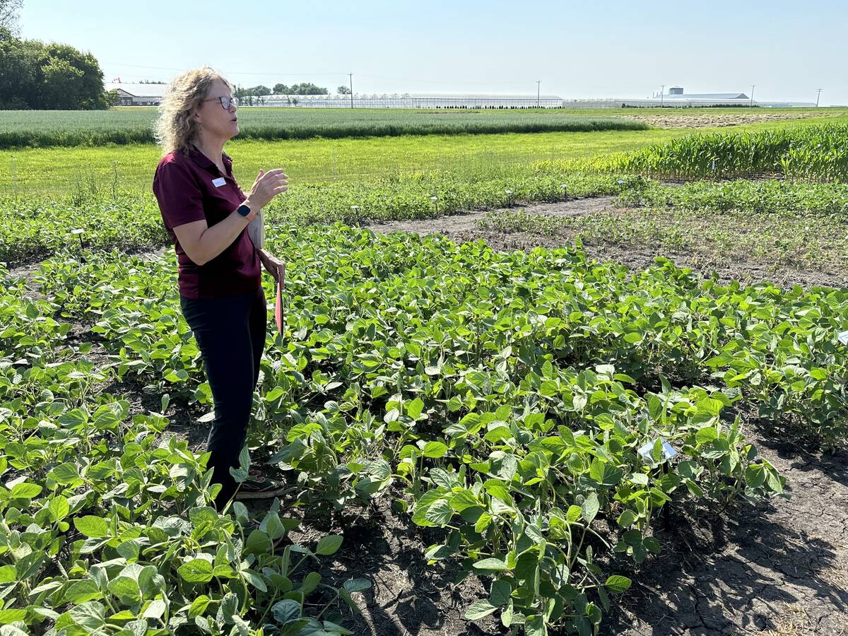 Farmers can’t chase every integrated weed management practice out there, so which ones are most important? vist.ly/3n36qty