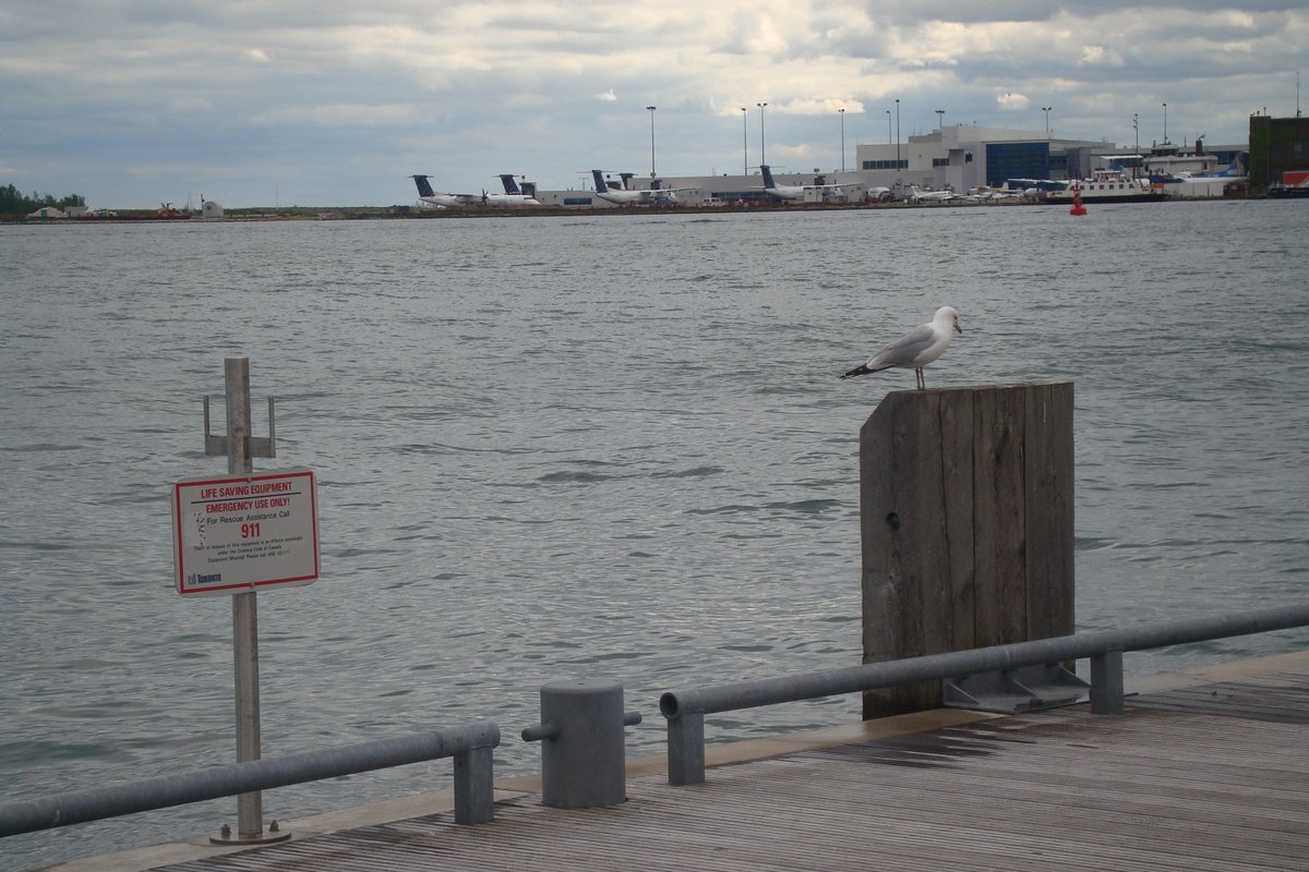 DosisRegia's tweet image. Harbourfront, Toronto. Junio 2011

#harbourfront #HarbourfrontToronto #toronto2011