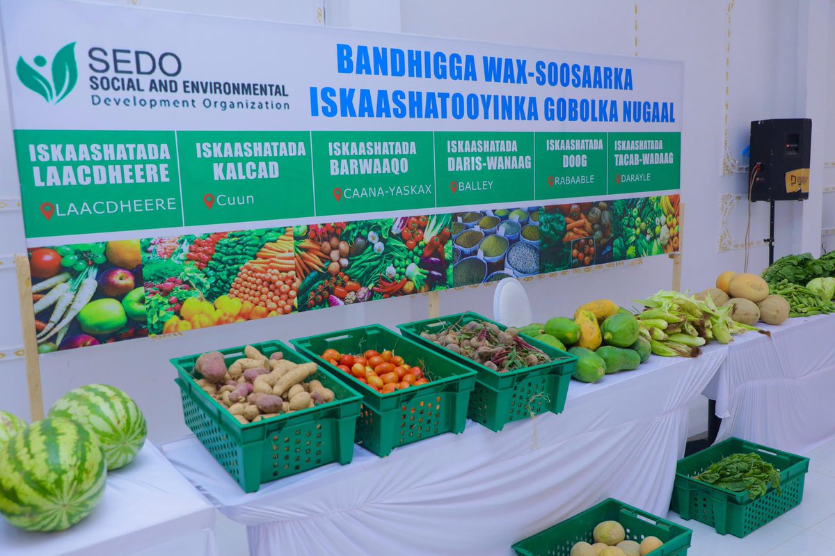 SEDO_Somalia's tweet photo. @SEDO_Somalia, in partnership with @WFPSomalia and the Government of France hosted an Agricultural Market Demonstration event in #Garowe, Puntland- Somalia, for farmer cooperatives in the #Nugal region.
The event showcased production from 6 local cooperatives and aimed to strengthen market connections, support domestic agriculture, and foster new trade partnerships.
representatives from the Puntland Ministries of Agriculture and Commerce, WFP Somalia, school principals, and business entrepreneurs.
#SEDOSomalia @WFP @MOASomalia #Puntland #Somalia