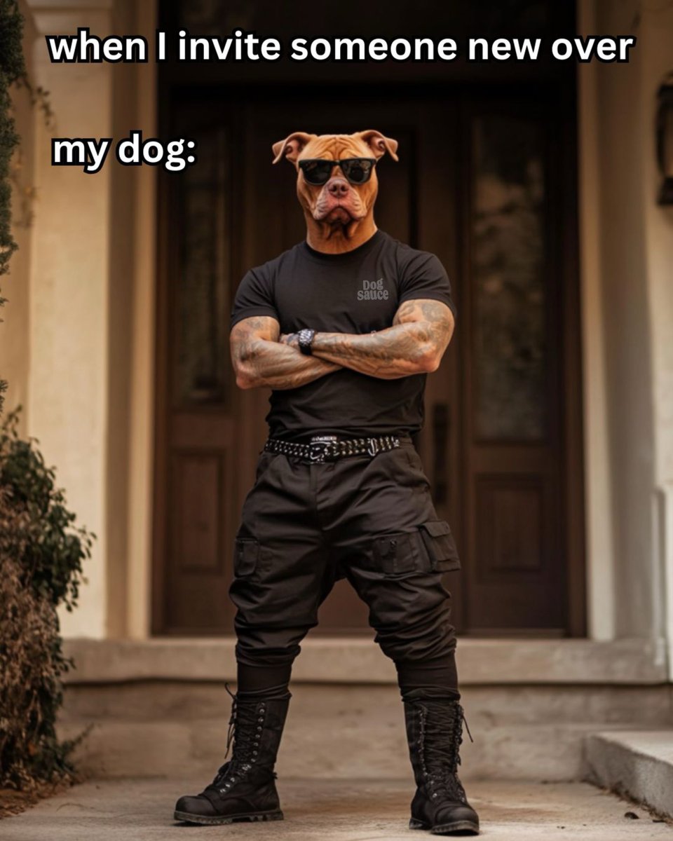 dogsauceco's tweet photo. “Need to see some ID.”
#dogmeme #funnydogs #funnymemes #dogsauce #mealtopperfordogs #bonebrothfordogs #viral https://t.co/MWIOmZ5q7b