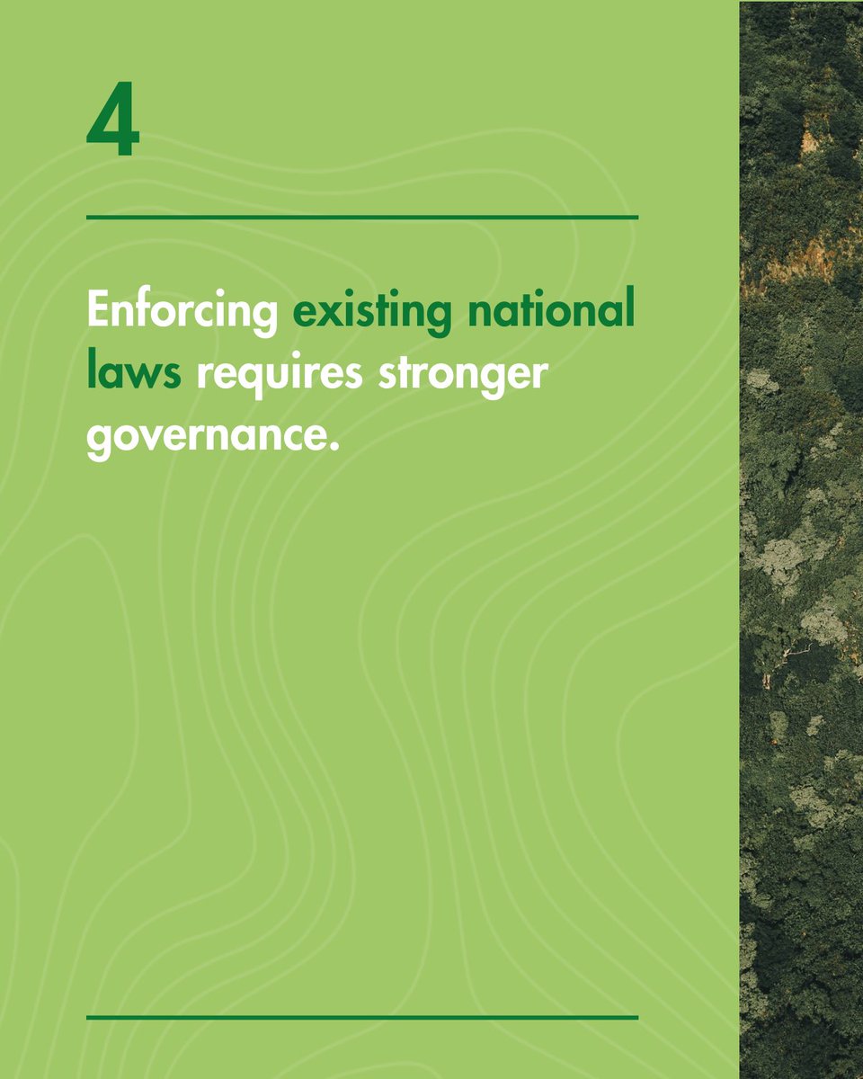 Addressing #deforestation in the #GranChaco requires a coordinated and integrated approach that unites international, regional &amp; local policy.

Discover 4 key policy-making pathways for a resilient Gran Chaco from our recent report: reports.weforum.org/docs/WEF_The_G…