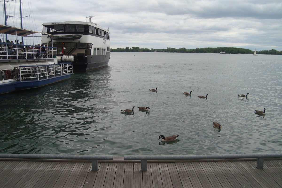 DosisRegia's tweet image. Harbourfront, Toronto. Junio 2011

#harbourfront #HarbourfrontToronto #toronto2011