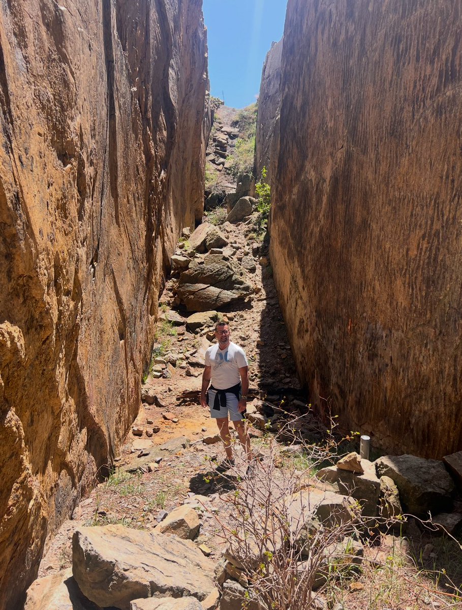 Neebs Gaming tweet media