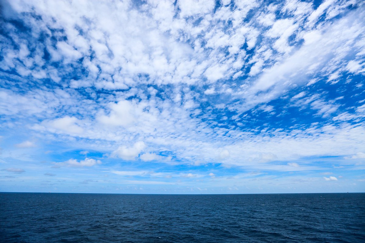 Today is World Oceans Day! Learn how animal and used cooking oil rendering reclaims and protects valuable water that would otherwise be wasted or contaminated:  nara.org/sustainability… ​

#WorldOceansDay #WaterRecovery