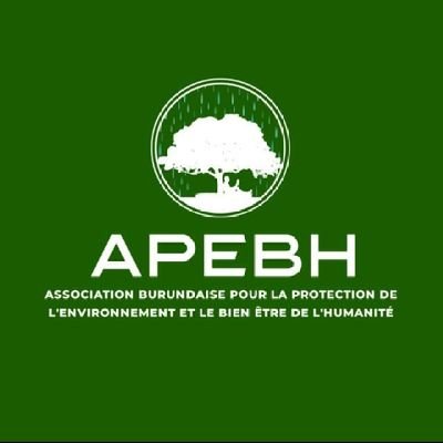 IrisNews_'s tweet photo. 🍙🪓| Le charbon de bois au #Burundi : une crise écologique et sanitaire ignorée 🌍  

✍️ "Alors que 87% des ménages urbains dépendent du charbon de bois pour cuisiner (Banque mondiale, 2021), son prix exorbitant plonge des milliers de familles dans la précarité. Mais le vrai coût est invisible," selon l'Association Burundaise pour la Protection de l'Environnement et de Bien-Être de l'Humanité (@apebh257) 🧵⤵️