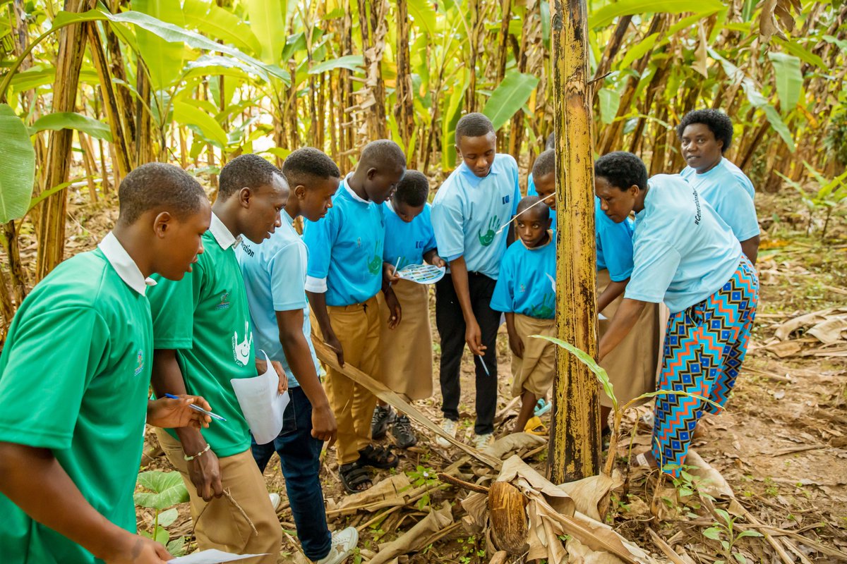 ARCOSNetwork's tweet photo. Excited to share that @ARCOSNetwork  joined #GlobalActionDays for #EcosystemRestoration! Schools &amp; communities under our Education for Sustainable Development Programme, thanks to the #EcoSchools, #LEAFProgramme, #KiRuCaReProject, actively engaged in impactful initiatives. https://t.co/X2BVYv9JH0