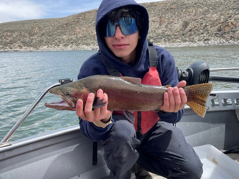 Despite worsening weather that chased many Eastern Sierra anglers off the water for Saturday's trout season opener, CDFW biologists conducting creel and other fish surveys saw lots of limits and reported one of the best opening days in years.