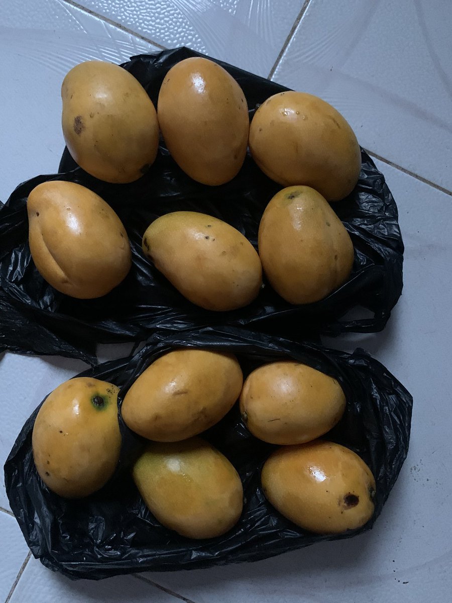 Avocado Gh10               Mango Gh5

Ba I won’t show u da place 😅