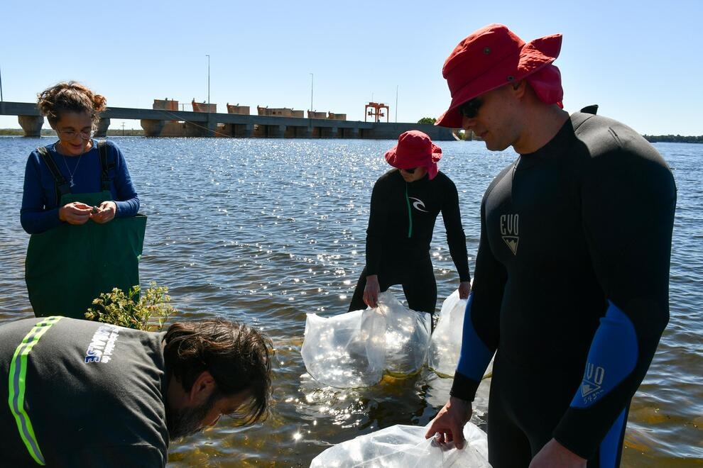 gobdecordoba's tweet image. 🌱💧 Presentamos el #PlanDeManejo para el #Embalse de #CruzDelEje.

👉🏻 La iniciativa incluye un diagnóstico actualizado y una propuesta de manejo integral para proteger el recurso hídrico y la fauna ictícola del embalse. 💪🏻🐟 Y además, contempla acciones integrales que buscan