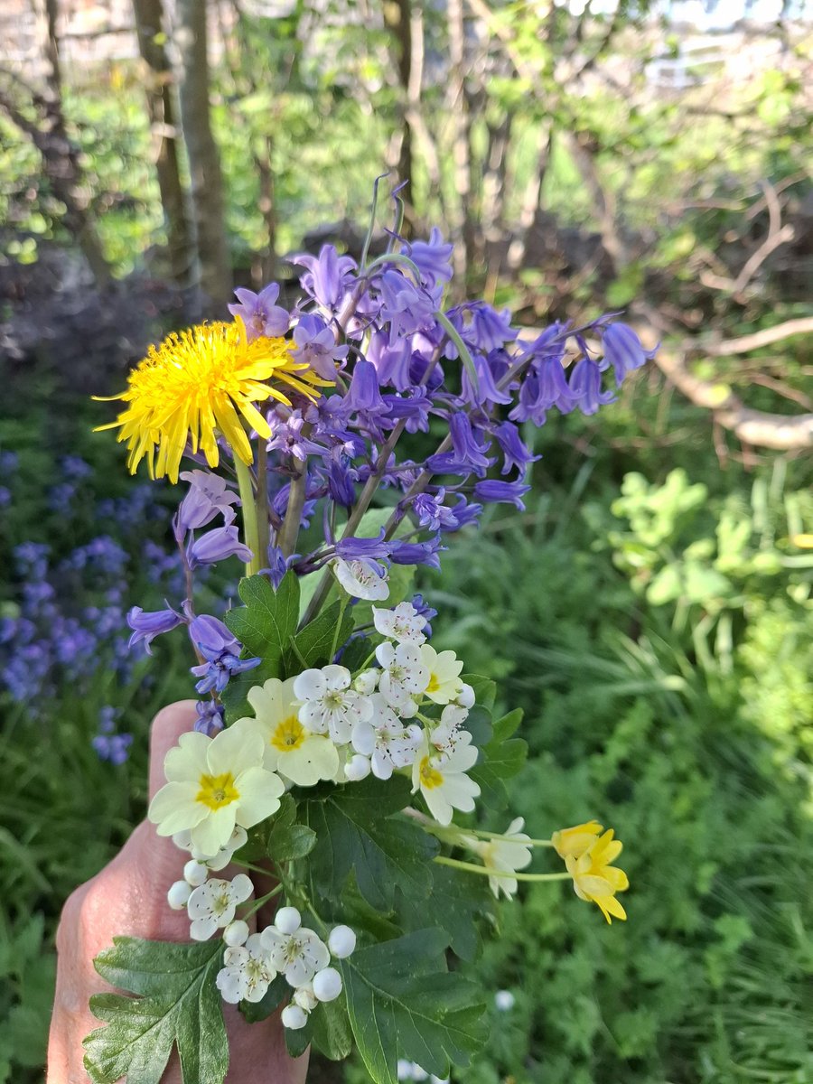 Tomorrow is Mayday, so keep an old Irish tradition alive and put some flowers on your doorstep tonight. The fairies are out and about tonight, but they won't cross the flowers, so your home will have good luck ##irishtraditions
