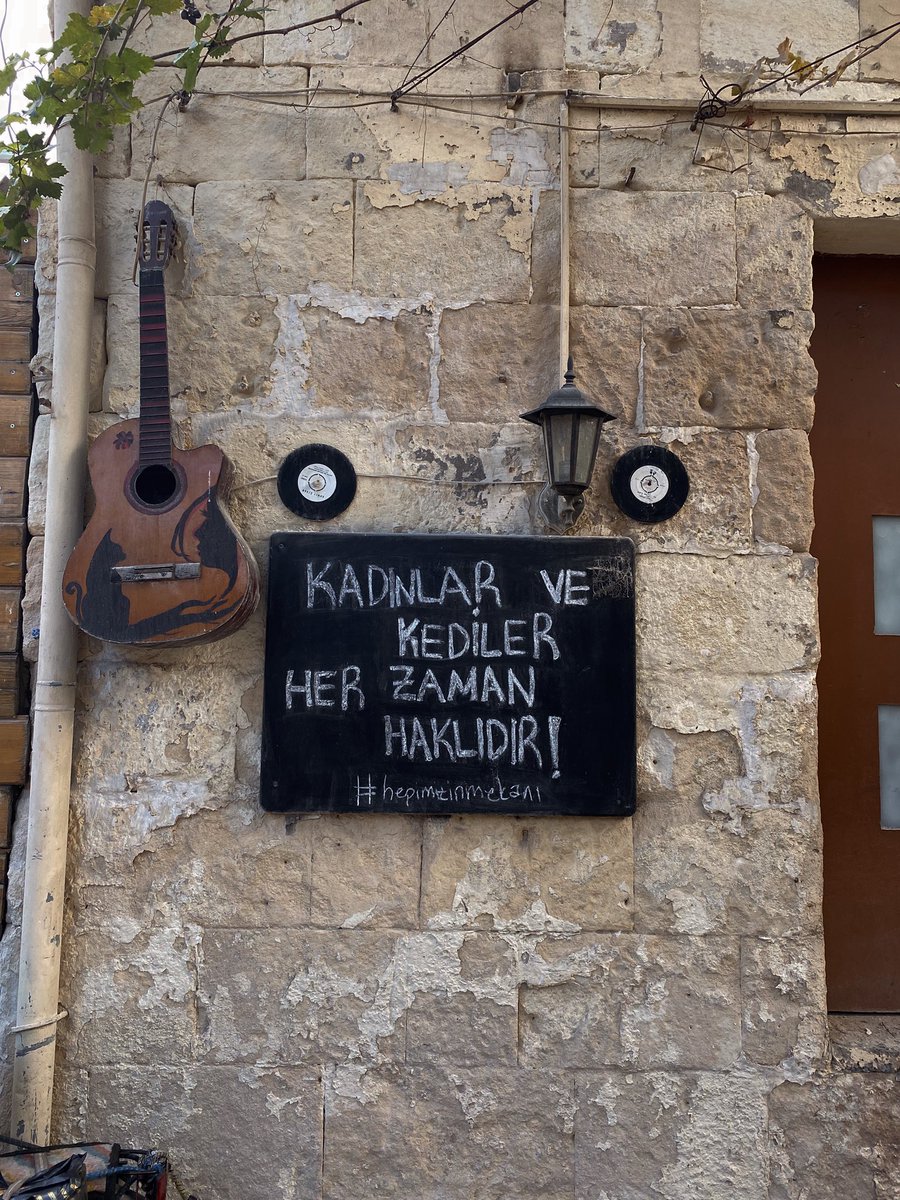 fatih_kartalci2's tweet photo. https://t.co/g64k8OlGhD