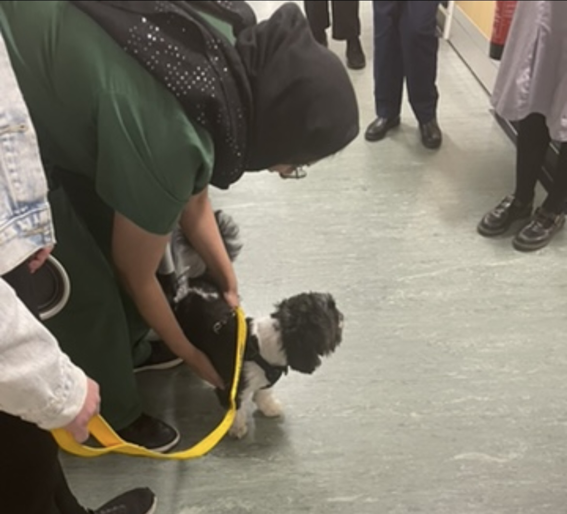 Siobhan Louise Stefanuto (@siobhanlouisem1) on Twitter photo Martha pet therapy dog & owner Stephanie as always bringing lots of smiles and love to patients and staff at Rochdale Infirmary last week. <a href="/NCA_Volunteers/">NCA Volunteers</a> <a href="/NCAlliance_NHS/">Northern Care Alliance NHS Foundation Trust (NCA)</a> <a href="/ExpTeamNCA/">Patient & Service User Experience Team NCA</a> Martha pet therapy dog & owner Stephanie as always bringing lots of smiles and love to patients and staff at Rochdale Infirmary last week. <a href="/NCA_Volunteers/">NCA Volunteers</a> <a href="/NCAlliance_NHS/">Northern Care Alliance NHS Foundation Trust (NCA)</a> <a href="/ExpTeamNCA/">Patient & Service User Experience Team NCA</a>