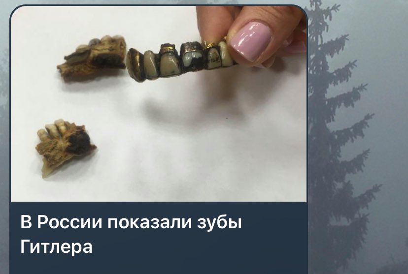 olromashova's tweet image. Я бы сказала что Россия показала зубы Гитлера