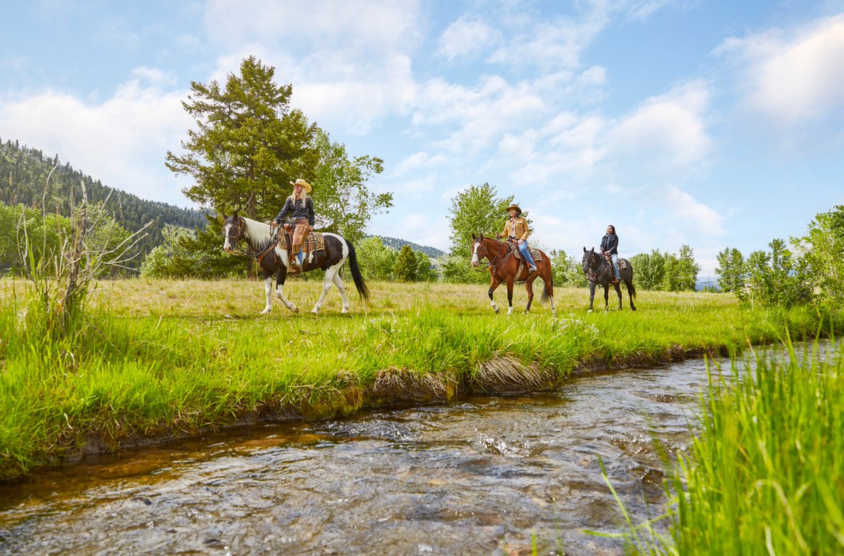 Adventure and relaxation, redefined. 

Take respite at The Ranch at Rock Creek, where breathtaking views of Montana's stunning landscapes create a serene backdrop for your next all-inclusive getaway. 

Your unforgettable escape awaits.