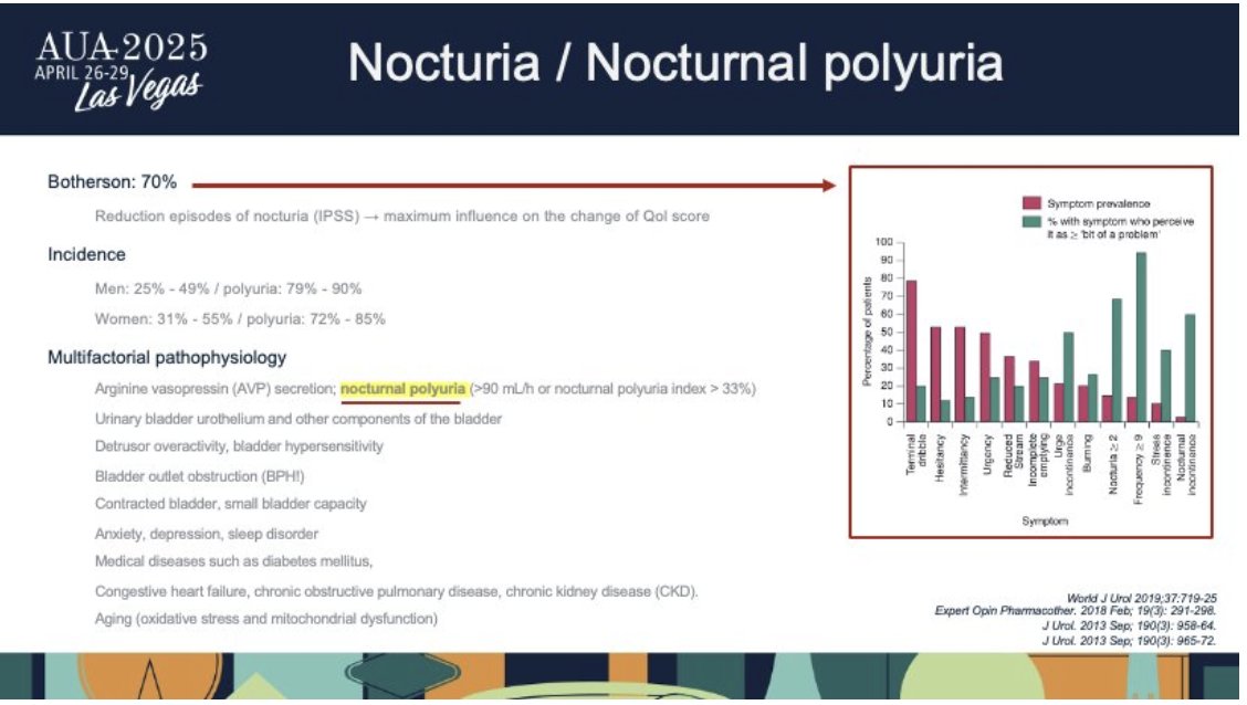 UroToday.com (@urotoday) on Twitter photo Confederación Americana de Urología (CAU) Lecture: Male voiding dysfunction: beyond the prostate. Presented by José Carlos Truzzi, MD, MSc, PhD. #AUA25 written coverage by <a href="/EmanChaudhri/">Eman Chaudhri</a> <a href="/UCI_Urology/">UCI Urology</a> > bit.ly/3EKCV1S <a href="/AmerUrological/">Amer. Urol. Assn.</a> Confederación Americana de Urología (CAU) Lecture: Male voiding dysfunction: beyond the prostate. Presented by José Carlos Truzzi, MD, MSc, PhD. #AUA25 written coverage by <a href="/EmanChaudhri/">Eman Chaudhri</a> <a href="/UCI_Urology/">UCI Urology</a> > bit.ly/3EKCV1S <a href="/AmerUrological/">Amer. Urol. Assn.</a>