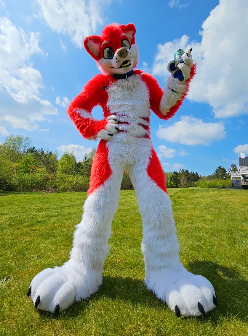 It’s Wednesday my dudes, grab a beer and hang out 🐶 
📷 <a href="/Ponyfoxx/">Ponyfox</a>