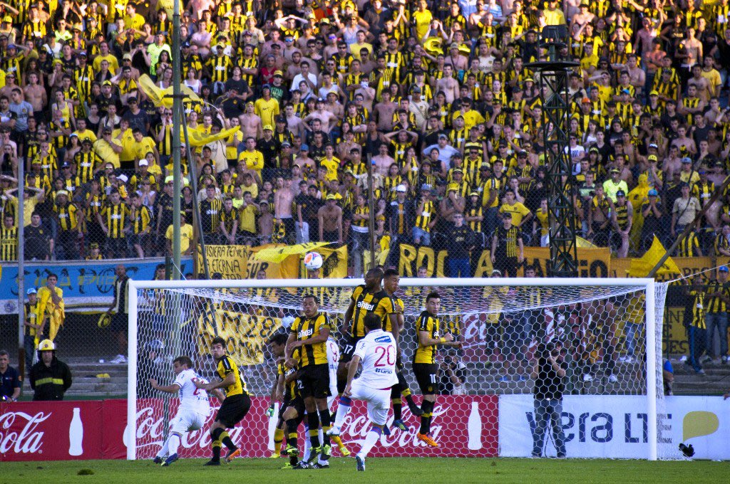 bolsodelirante's tweet image. Migliore, te comiste uno igual en un clásico. Culo
Roto