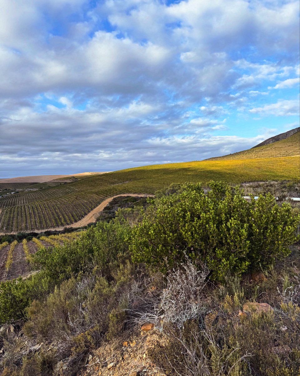 As the seasons change, so does our wine choice... Red wine season loading! 

#redwinelover #rakawine #visitstanford #winelovers #coolclimatewines #SAwine #kleinriver