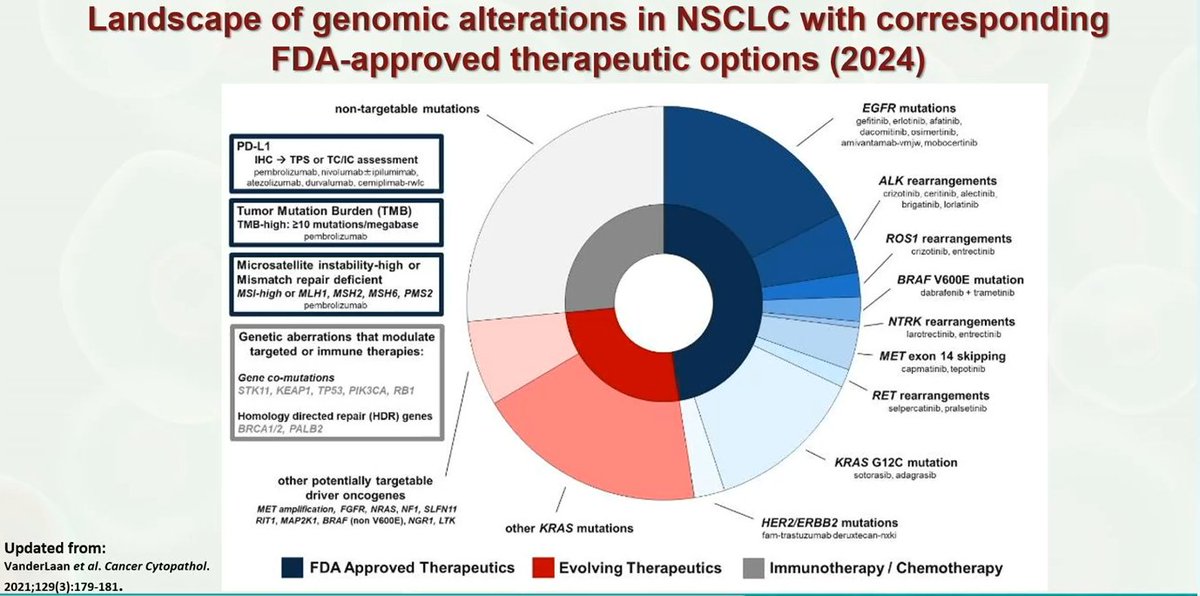 Lung cancer
Landscape of genomic alterations in NSCLC with corresponding therapeutic options (2024, ongoing and evolving topic)

Dr. Siddiqi #USCAP25 #pathology #pathX