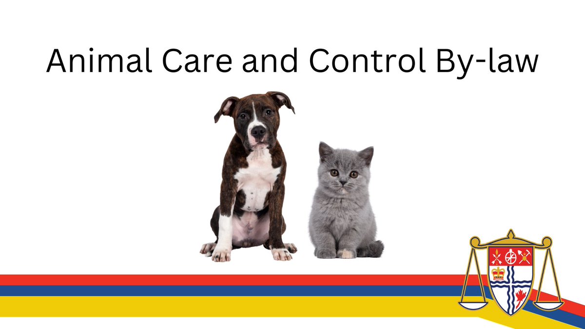 As the weather improves, the number of complaints about dogs increases.
Remember: as a dog owner it is your responsibility to follow the rules set out in the Animal Care and Control By-law: ottawa.ca/en/living-otta… #OttCity