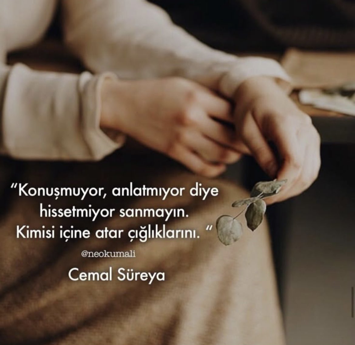 Konuşmuyor, anlatmıyor diye hissetmiyor sanmayın.
Kimisi içine atar çığlıklarını.

Cemal Süreya