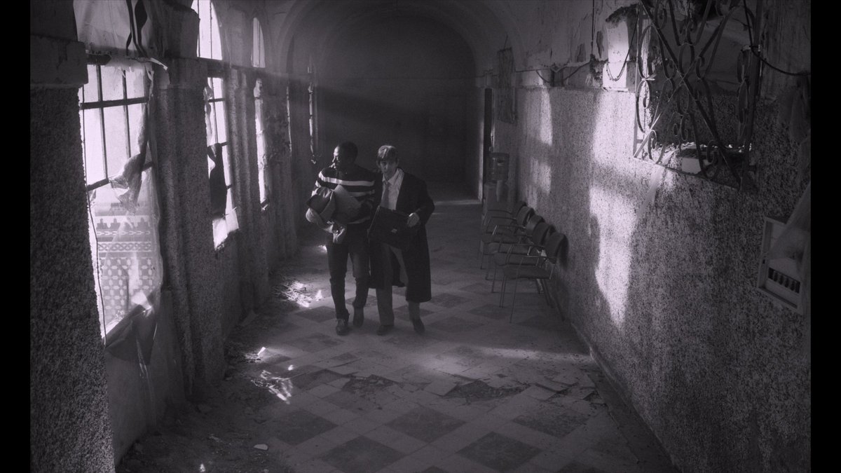 Felipe Moreno tweet media