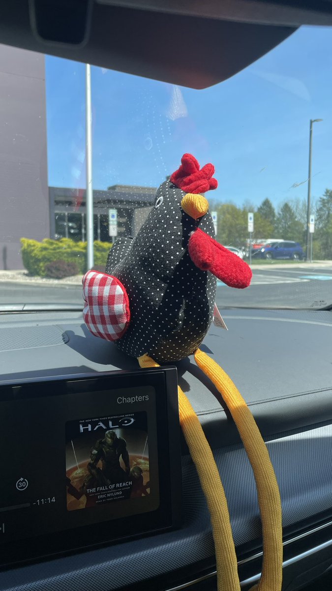ColorSquish's tweet image. Bought a chicken at cracker barrel bc it was on sale. $4 is worth the delight of its stupid face, what should i name it
