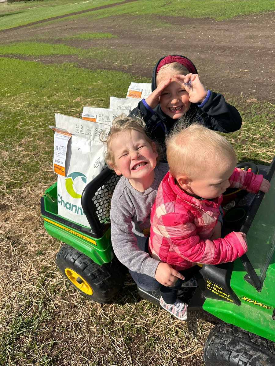 Plot season is in full swing