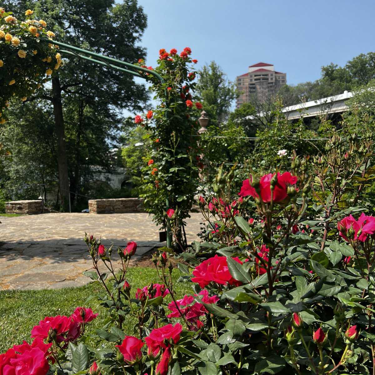 That’s a wrap on National Garden Month—and what a beautiful journey it’s been! 🌸✨ Missed a stop? Don’t worry—spring’s not over yet! These gardens are open and waiting for your visit.🌳

Thank you for blooming with us this month. 💚