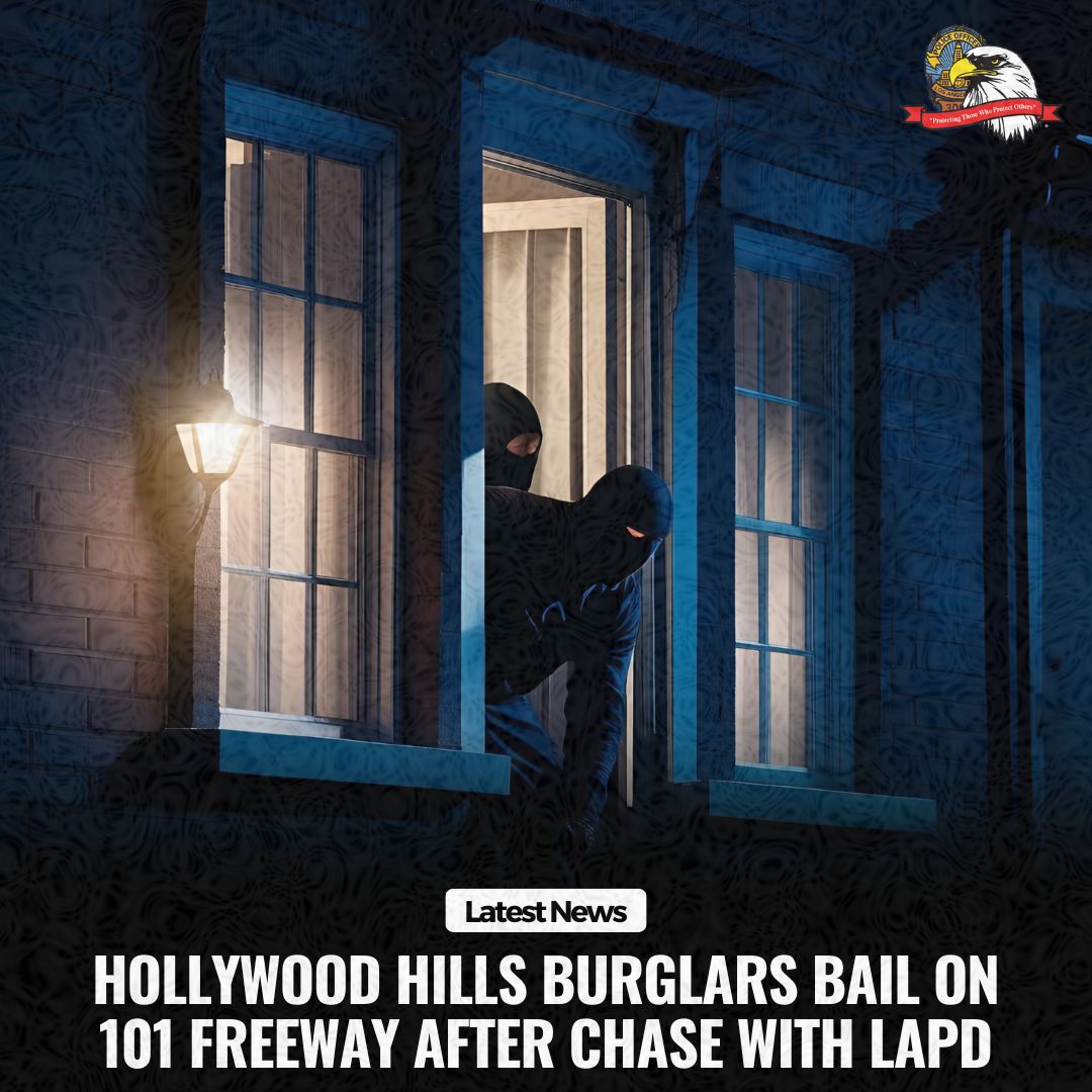 The law’s long arm caught up with this Hollywood Hills burglary crew. LAPD nabbed these crooks after they caused a brief chase on the 101, ultimately bailing out and running through freeway traffic—to no avail. Our officers ran them down one by one to make the arrests.

Full