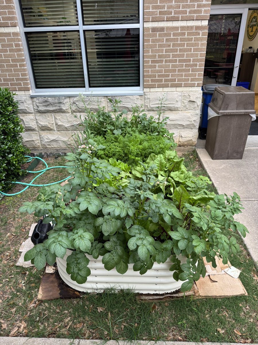 Allison Stephens tweet media