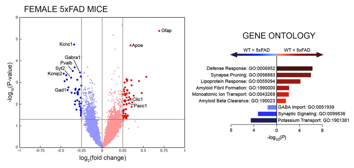 Dylan Terstege tweet media
