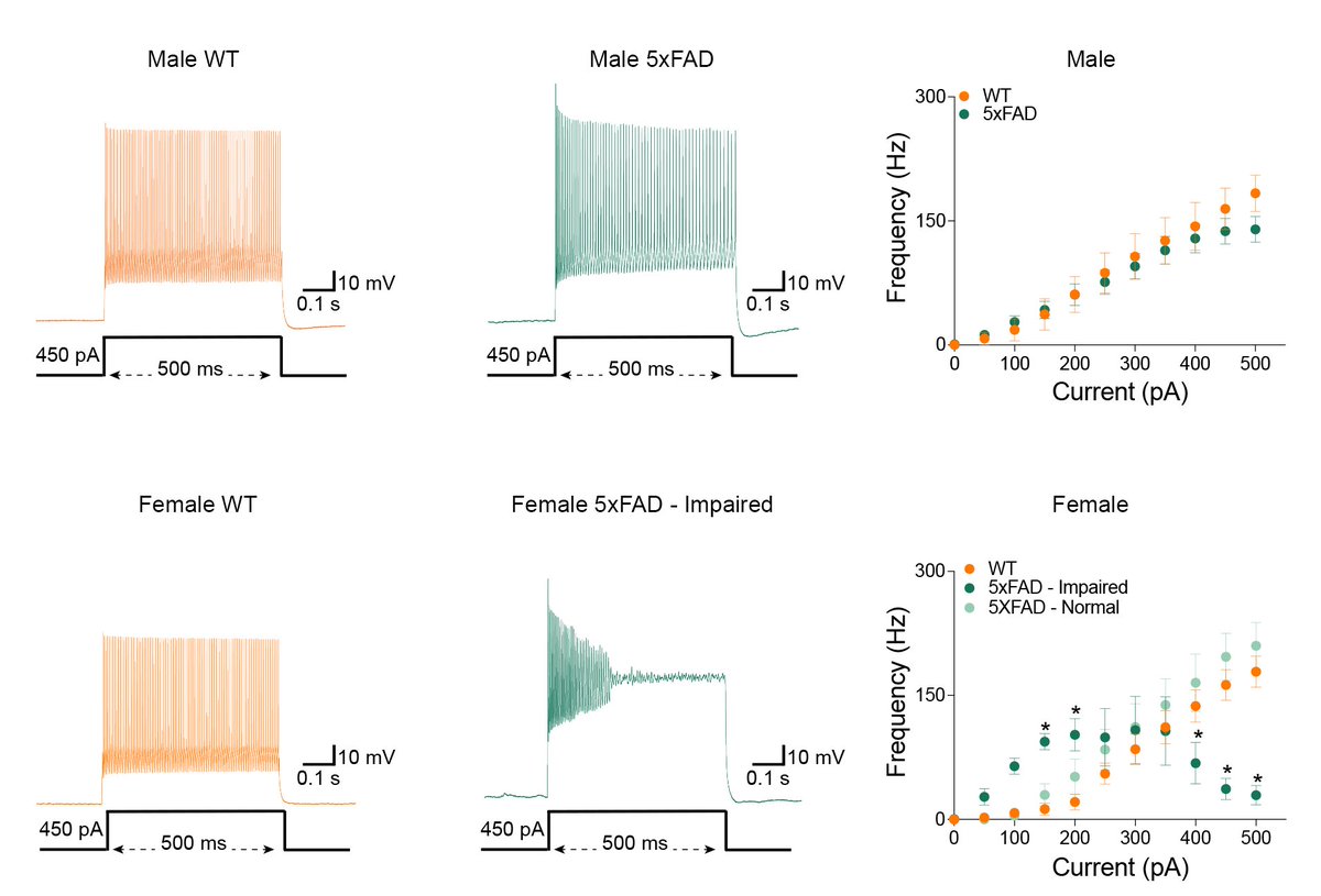 Dylan Terstege tweet media
